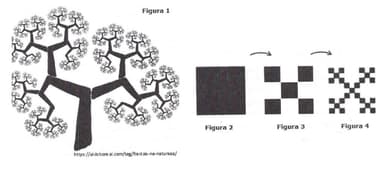 Question illustration