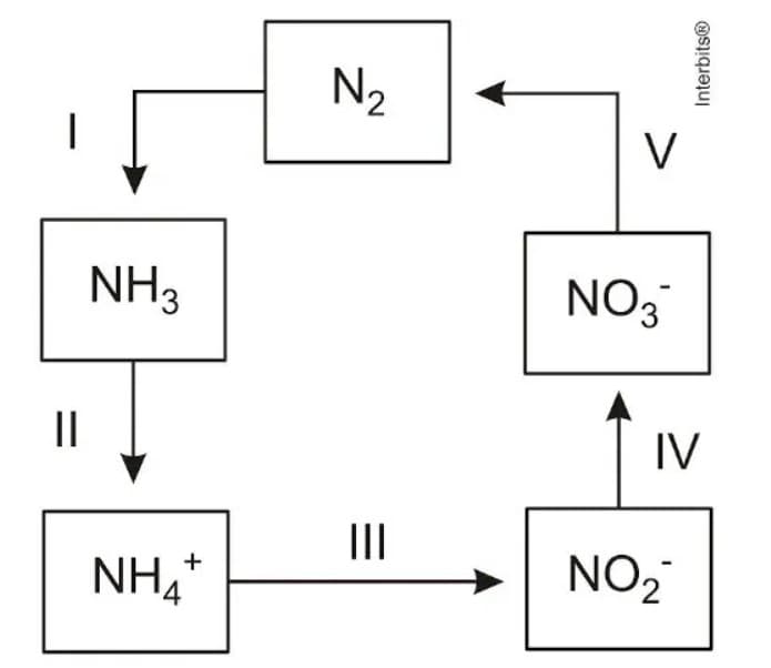 Question illustration