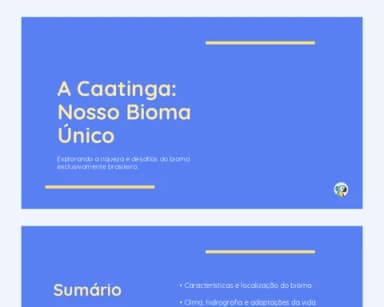 A Caatinga: Nosso Bioma Único