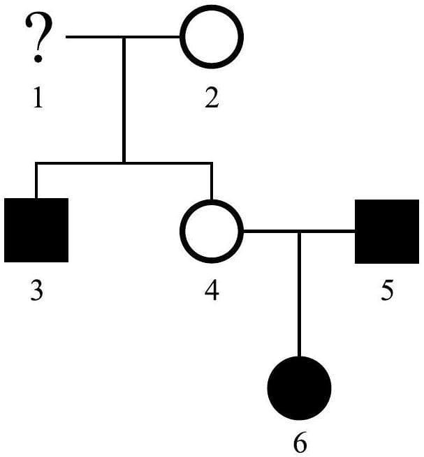 Question illustration