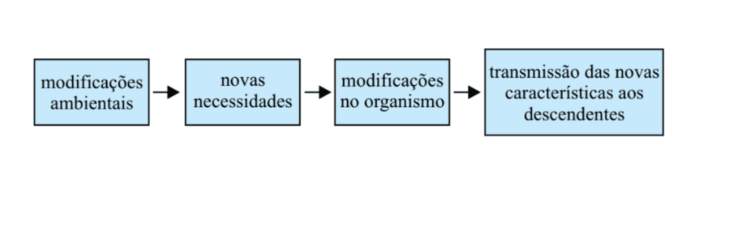 Question illustration