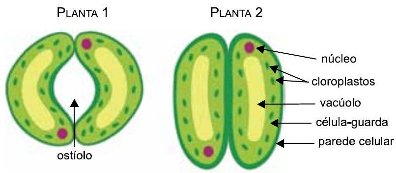 Question illustration