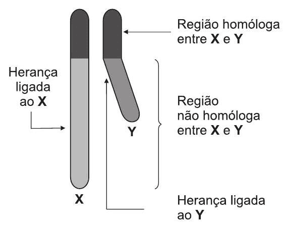 Question illustration