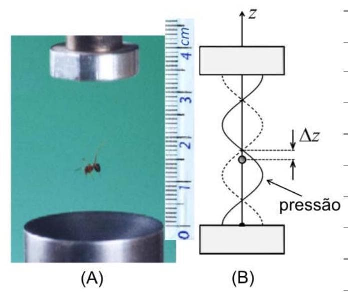 Question illustration