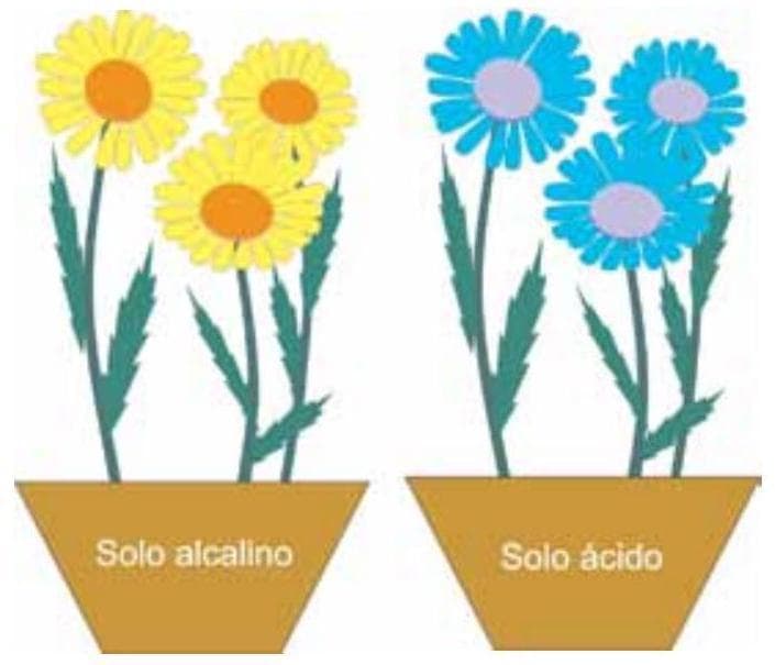 Question illustration