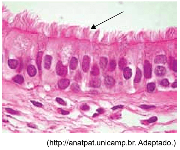 Question illustration