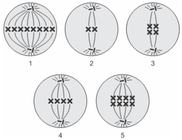 Question illustration