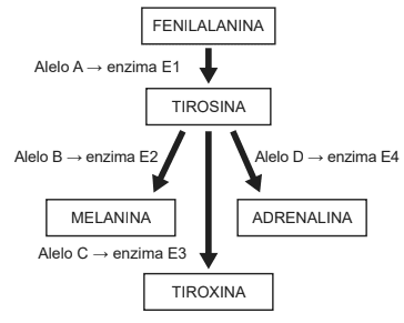 Question illustration