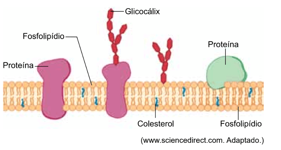 Question illustration