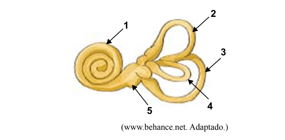 Question illustration