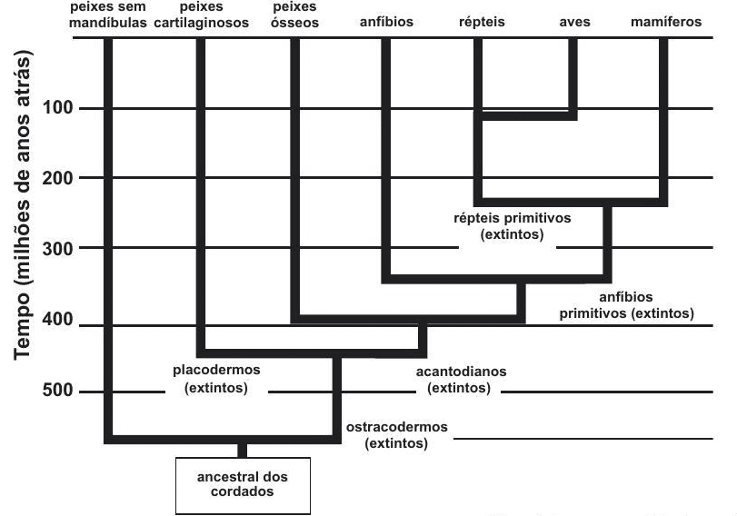 Question illustration
