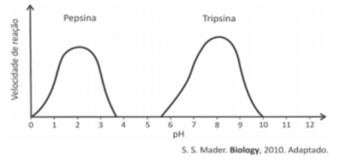 Question illustration