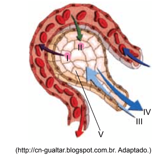 Question illustration