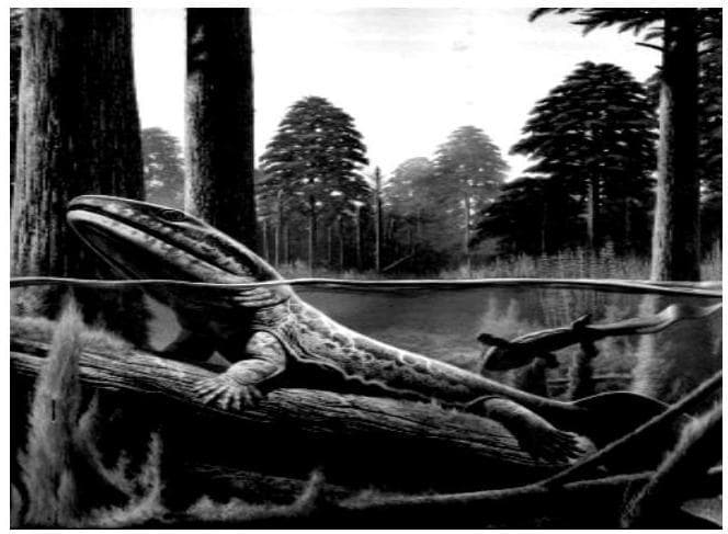 Question illustration