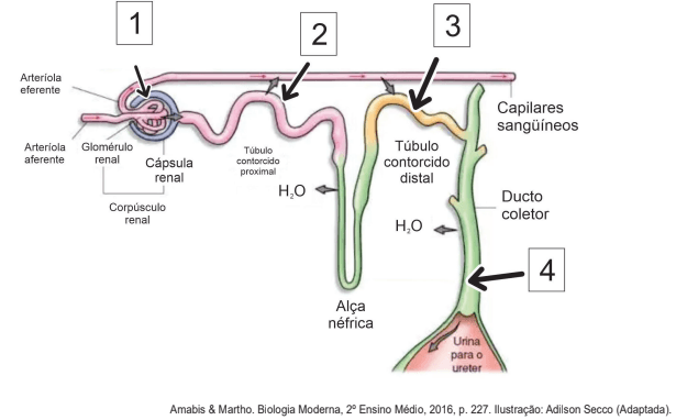 Question illustration