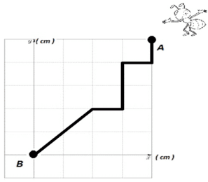 Question illustration