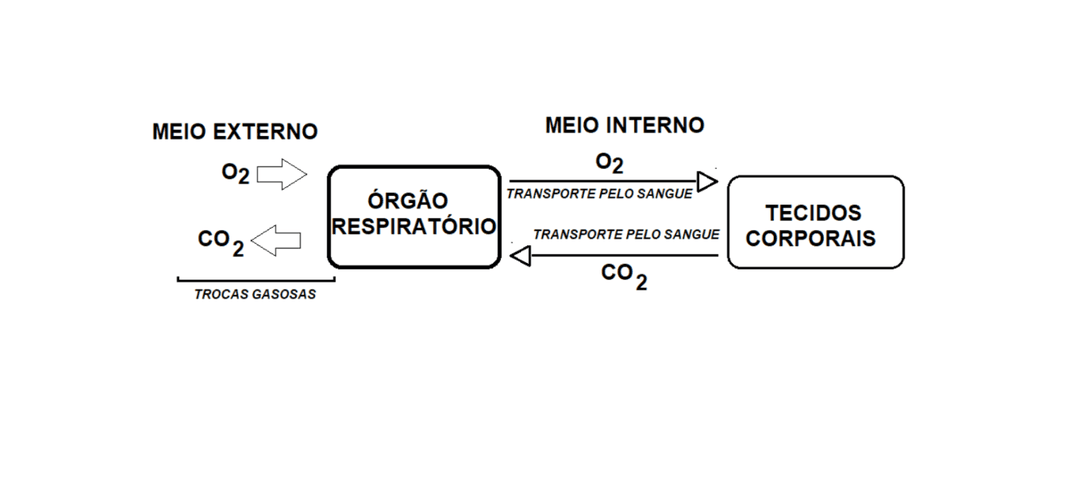 Question illustration