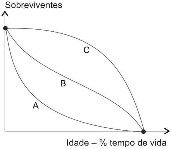 Question illustration