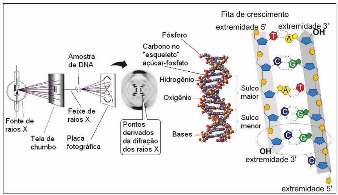 Question illustration
