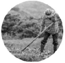 Question illustration