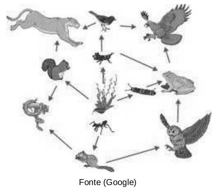 Question illustration