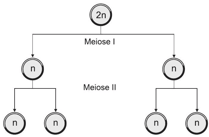 Question illustration