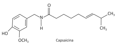 Question illustration