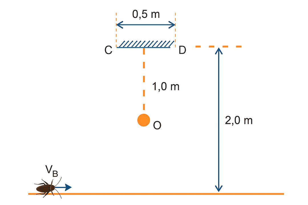 Question illustration