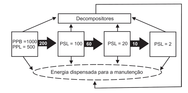 Question illustration