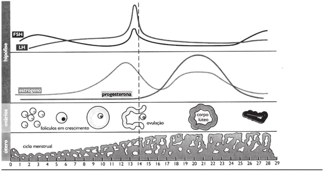 Question illustration