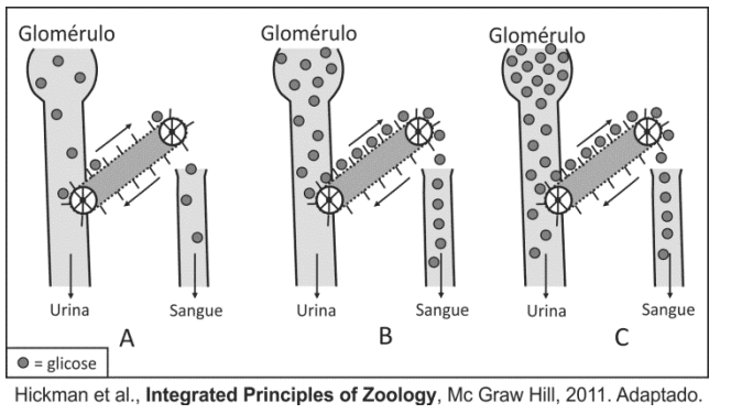 Question illustration