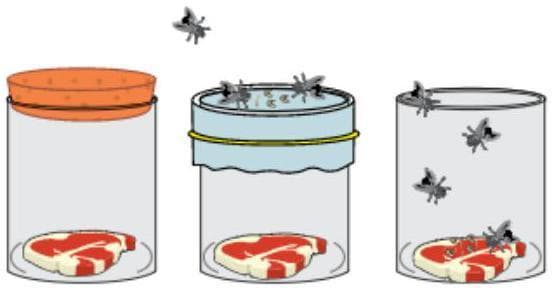 Question illustration