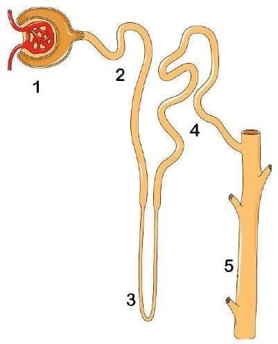 Question illustration