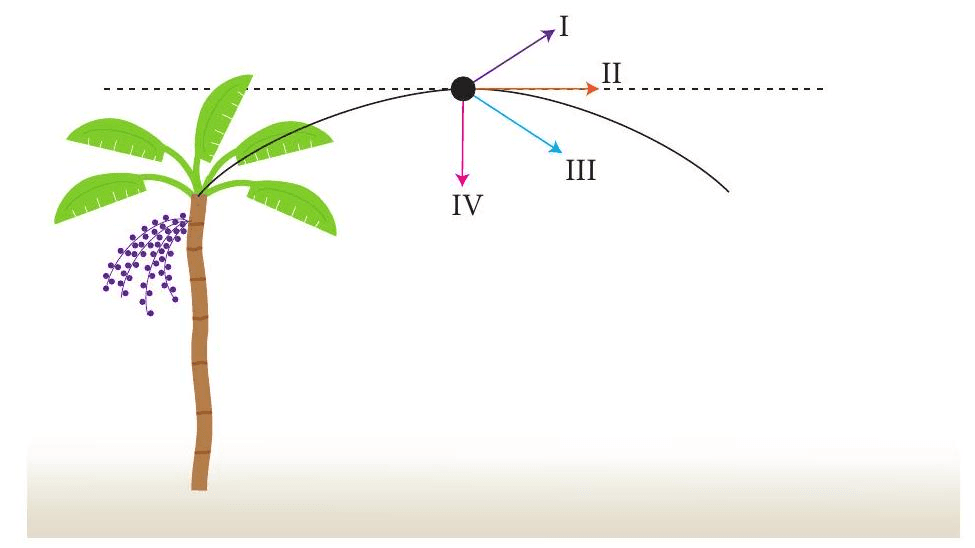 Question illustration