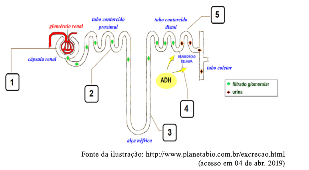 Question illustration