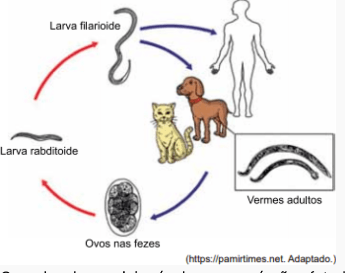 Question illustration