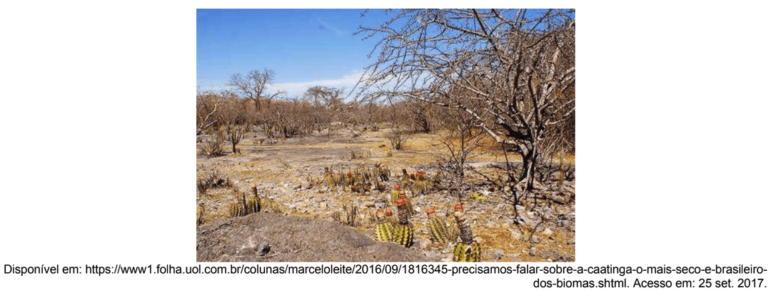 Question illustration