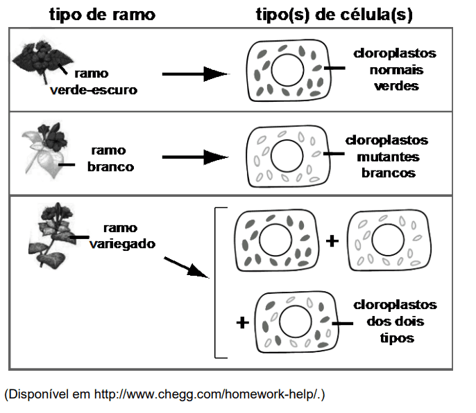 Question illustration