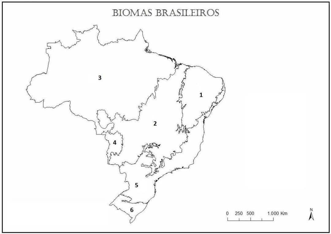 Question illustration