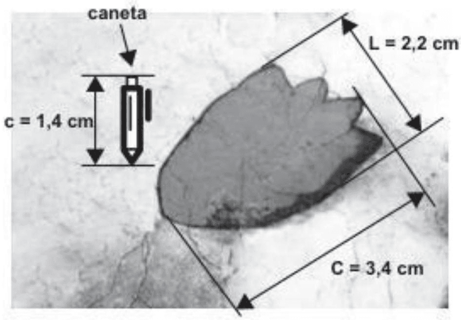 Question illustration