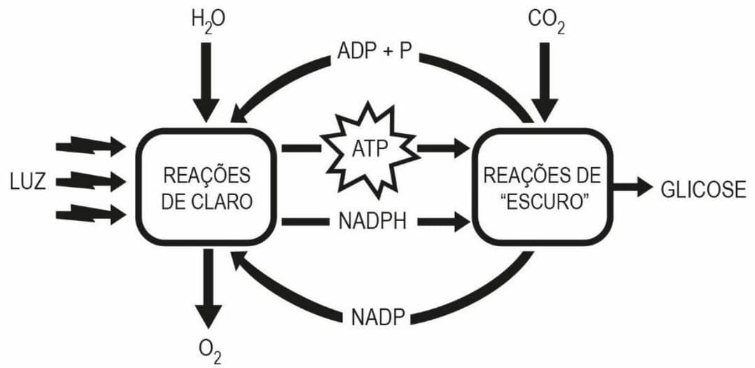 Question illustration