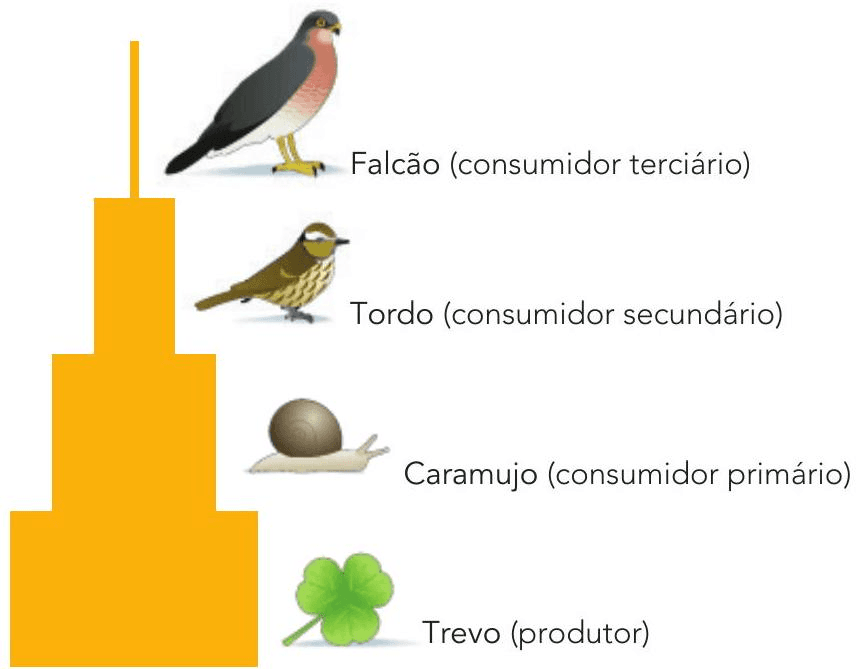 Question illustration