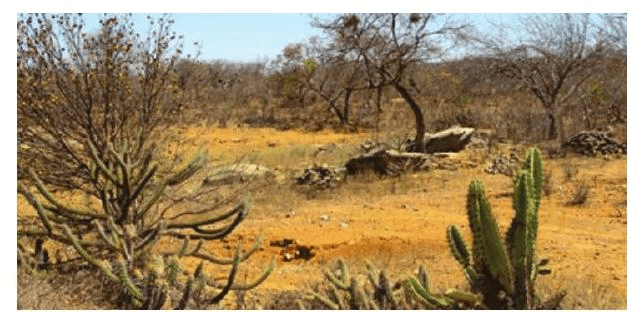 Question illustration