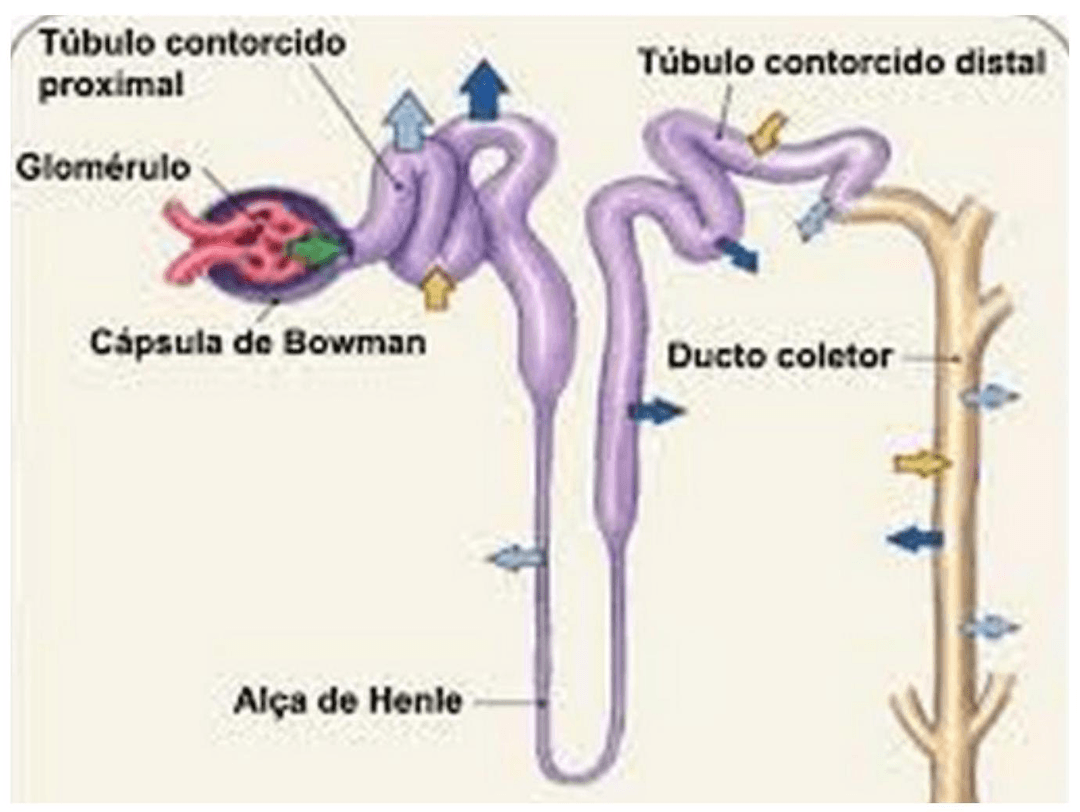Question illustration