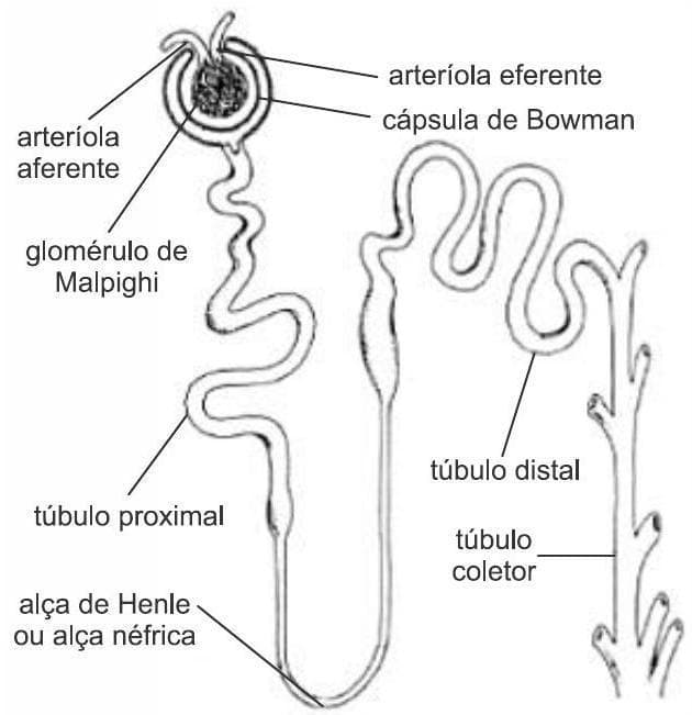 Question illustration