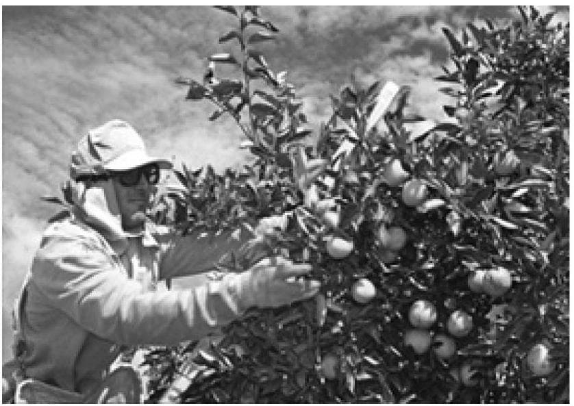 Question illustration