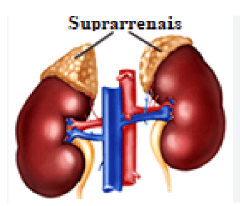 Question illustration