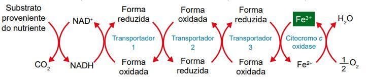 Question illustration