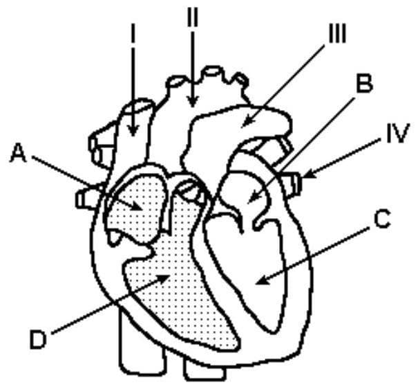 Question illustration