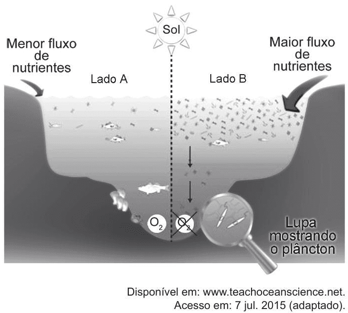 Question illustration